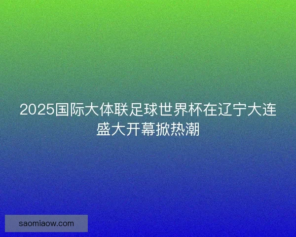 2025国际大体联足球世界杯在辽宁大连盛大开幕掀热潮